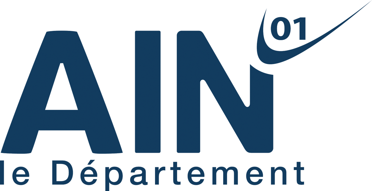 logo ain 2018