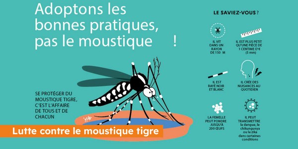 Moustiques tigres : agissons maintenant pour un été plus tra ... Image 1